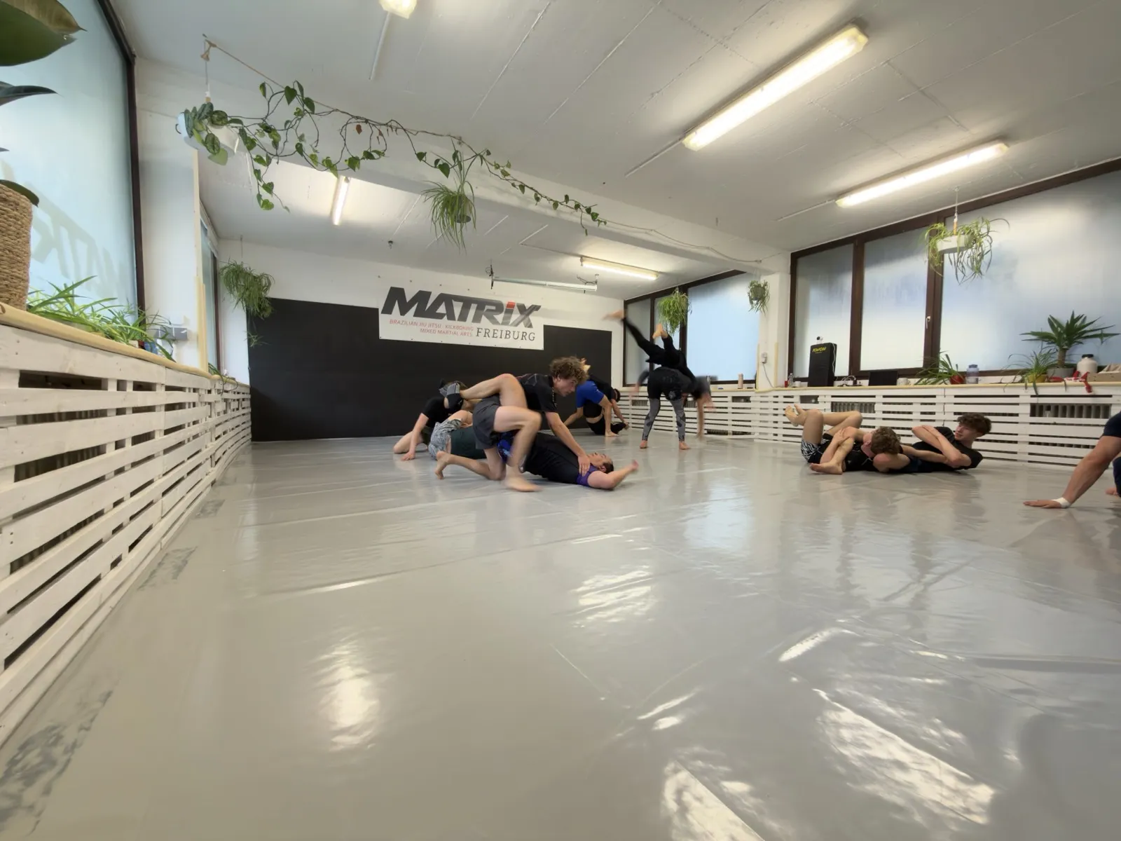 Open Mat Session bei Matrix Freiburg – mehrere Sparring-Paare auf der Matte
